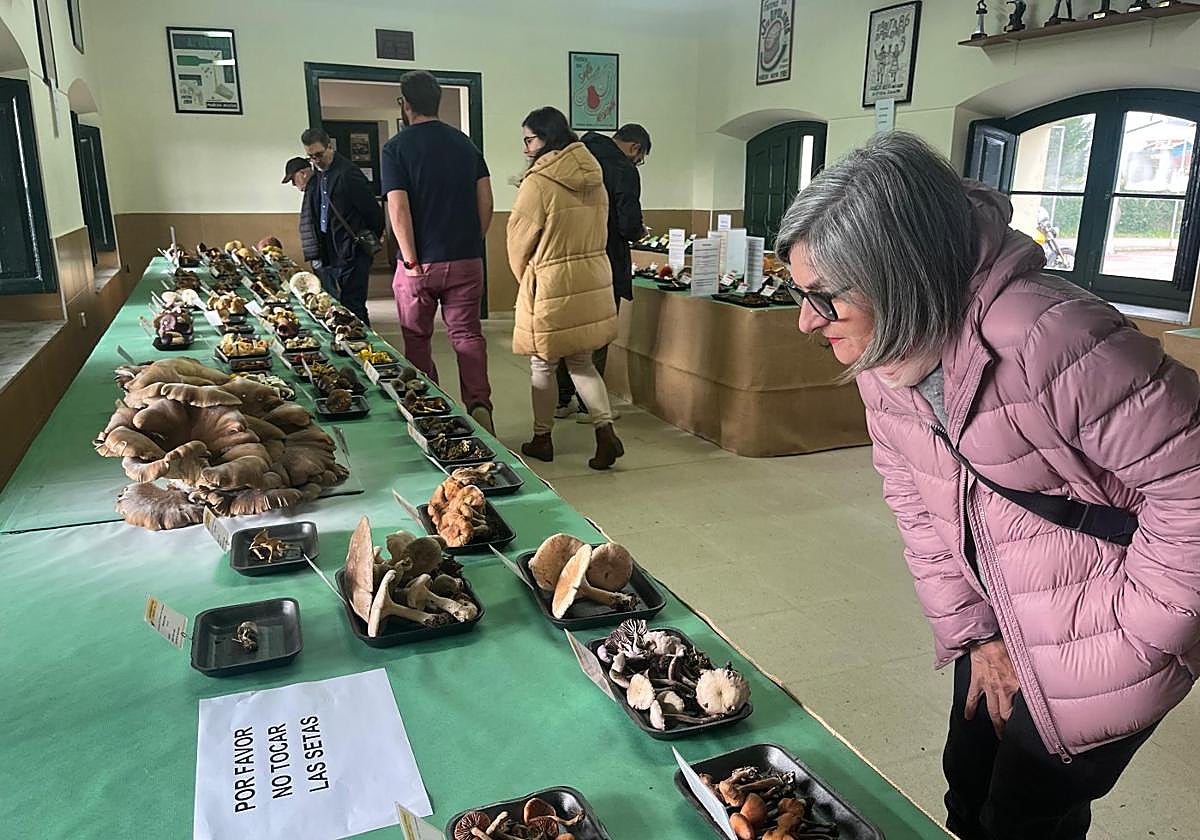 El público se acercó, desde primera hora, a las escuelas de Pañeda, en Siero, con motivo de las jornadas micológicas.