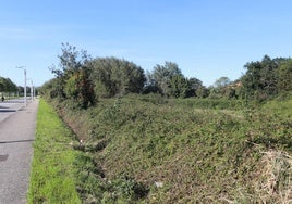 Zona de ampliación del Parque Tecnológico de Gijón.