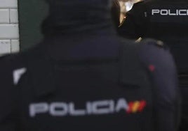 La Policía Nacional procedió a la detención de dos autores, pasando a disposición del Juzgado 1ª Instancia e Instrucción Nº 1 de Lena.