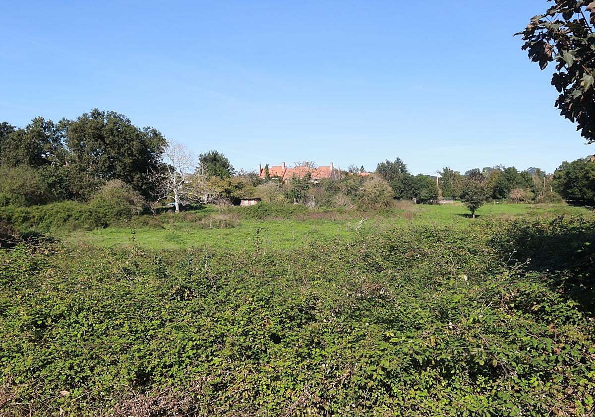 Terrenos del futuro Parque Tecnológico de Gijón por los que ha presentado la oferta la Universidad Europea.