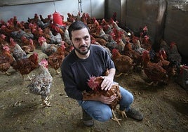 Amador García, rodeado de parte de los pitos de caleya que cría en Morcín.