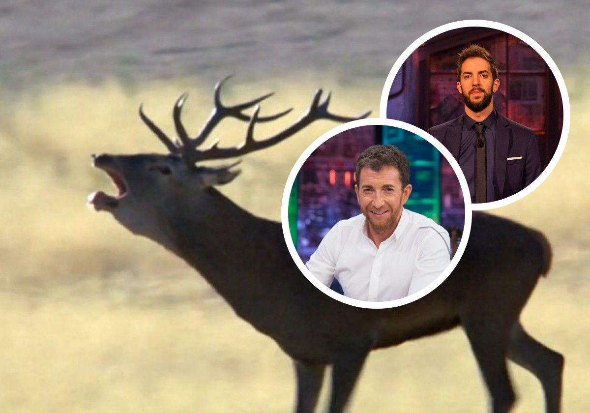 Ciervos, buitres y serpientes: así reaccionó 'La Revuelta' al boicot de 'El Hormiguero' a su programa