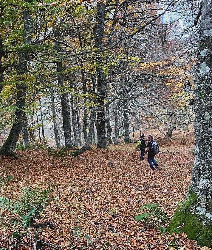 Imagen secundaria 2 - Un bosque mítico, dos brañas vaqueiras y una cumbre puntiaguda que es el techo de Teverga