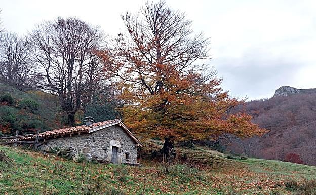 Braña de las Cadenas