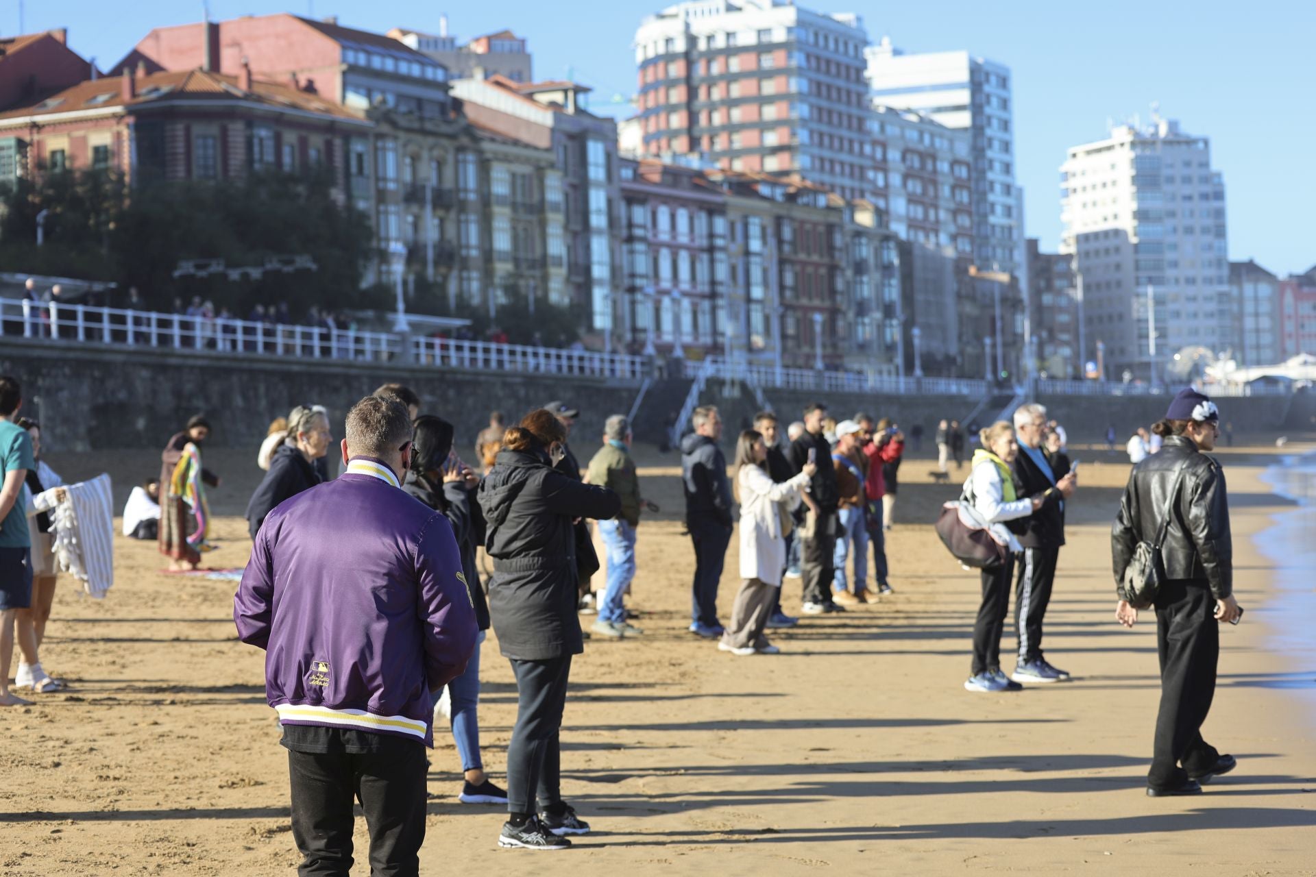 Las imágenes que deja la aparición de un cachalote pigmeo en Gijón
