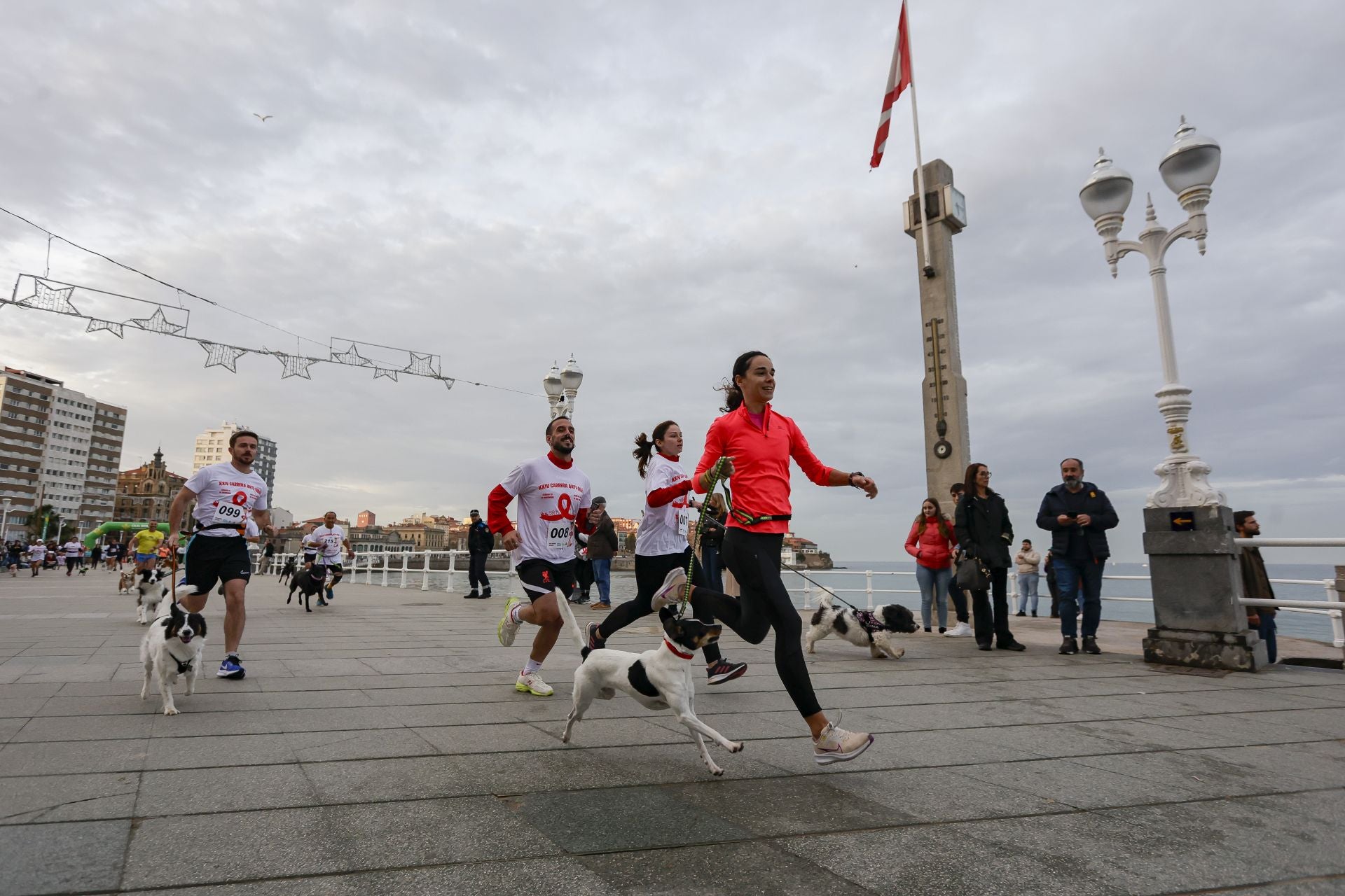 Zancadas de solidaridad: las imágenes de la carrera anti-sida en Gijón