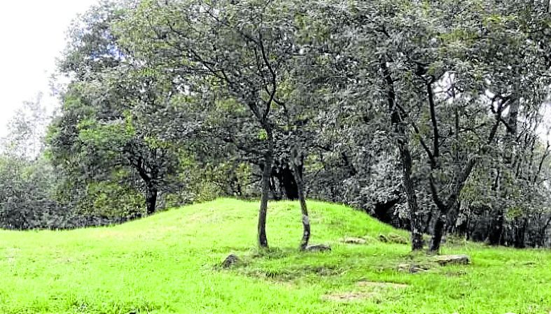 Uno de los túmulos que existen en el parque arqueológico del Monte Deva, con más de 5.000 años de antigüedad. asturnatura