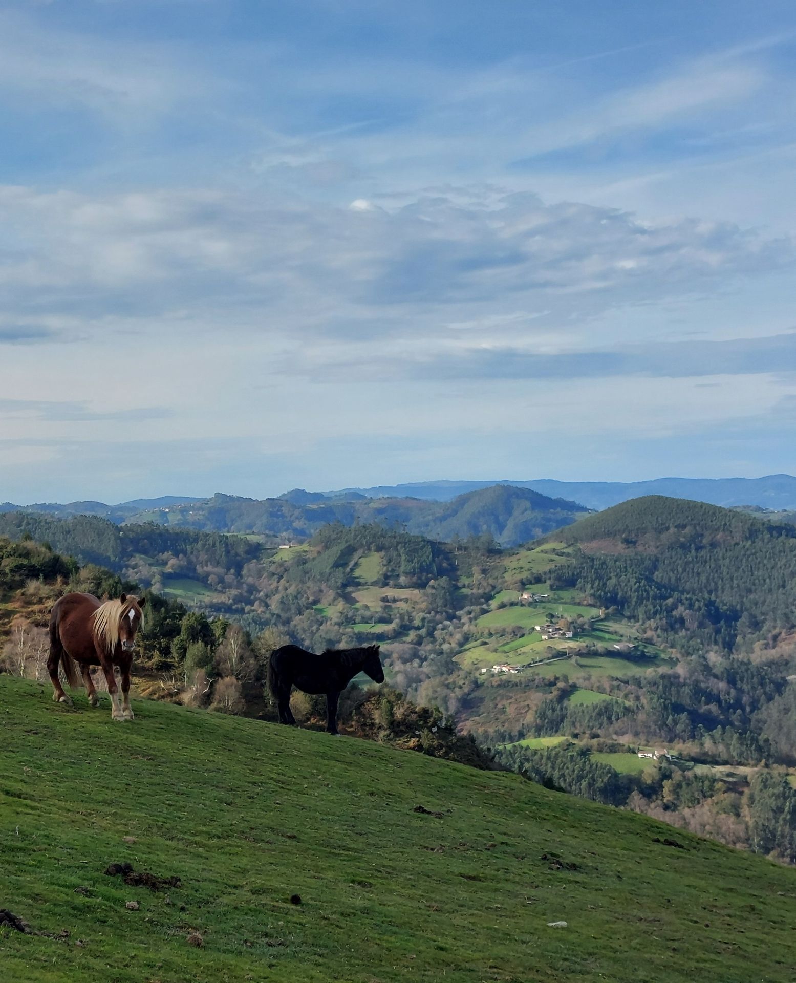 Imagen secundaria 2 - Hayedo de la Biescona, texedal del Sueve y collada Busfriu, tres de los paisajes por los que discurre esta gran ruta 