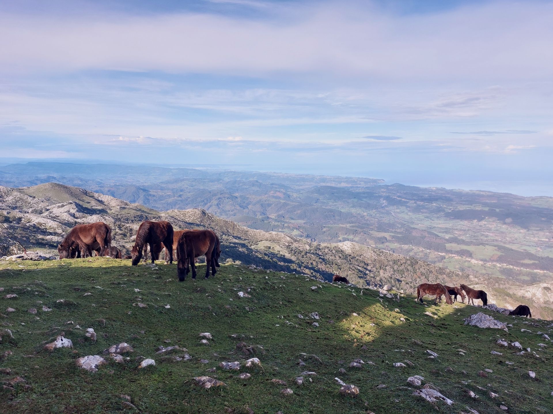 Imagen principal - Asturcones paciendo con vistas al mar en la cima del Pienzu/ cruz de hierro en la cumbre del Sueve/ vistas a Picos de Europa 