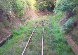 Una vía de ancho métrico asturiana, en la línea del accidente, comida por la vegetación.