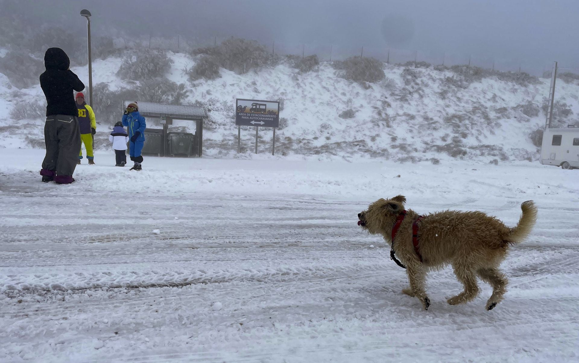 El primer temporal invernal en Asturias: nieve, fuerte viento y lluvia