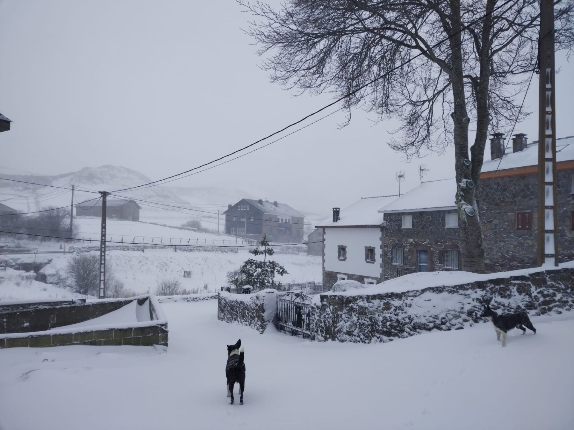 El primer temporal invernal en Asturias: nieve, fuerte viento y lluvia