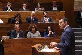 Queipo escucha desde su escaño la intervención del consejero.