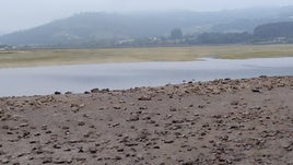 Zona de El Puntal en la que se prevé instalar la planta de preengorde.