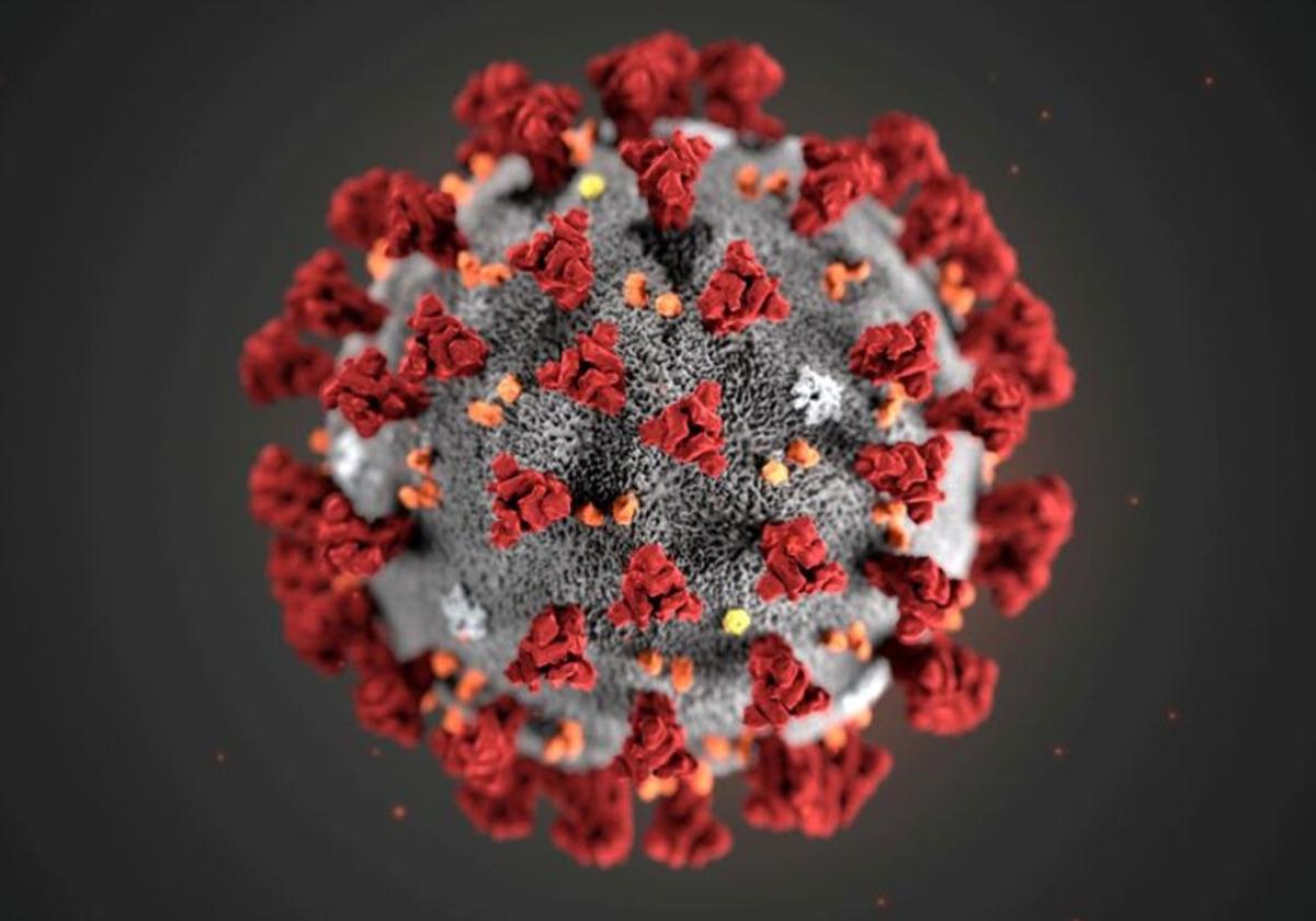 Qué es el metapneumovirus humano que circula en China: síntomas y riesgos