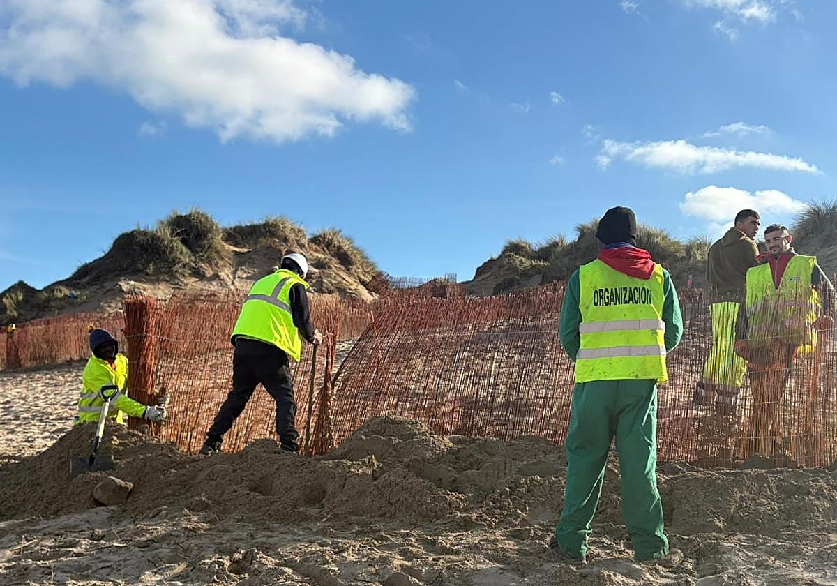 Operarios moviendo arena en el Espartal de forma manual.