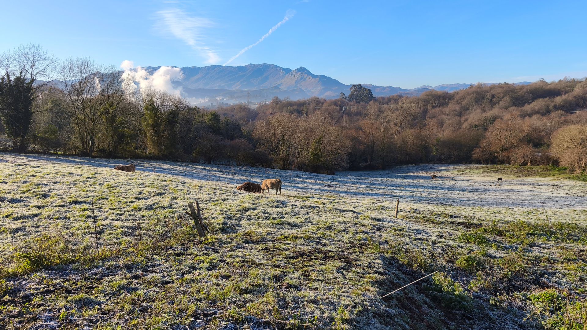 Asturias, bajo cero: el frío invernal llega a la región