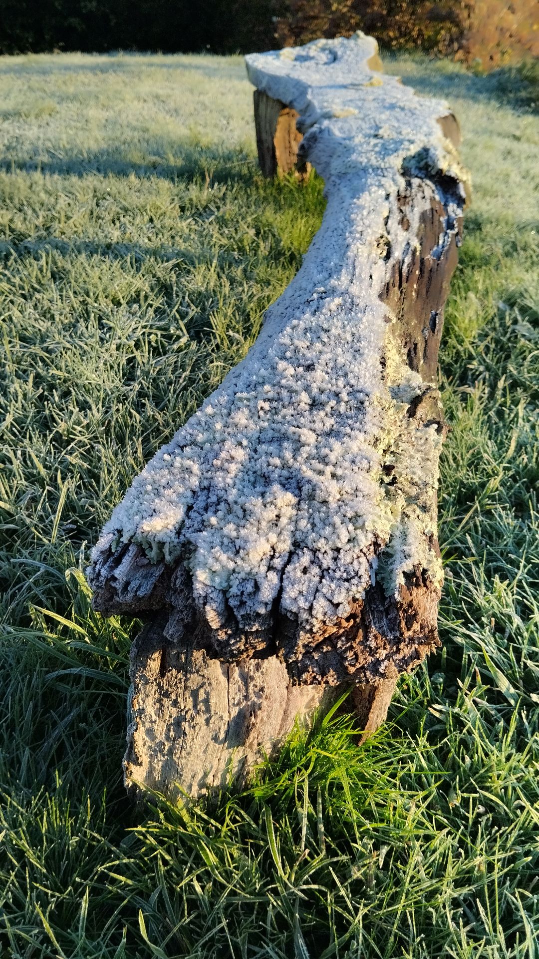 Asturias, bajo cero: el frío invernal llega a la región