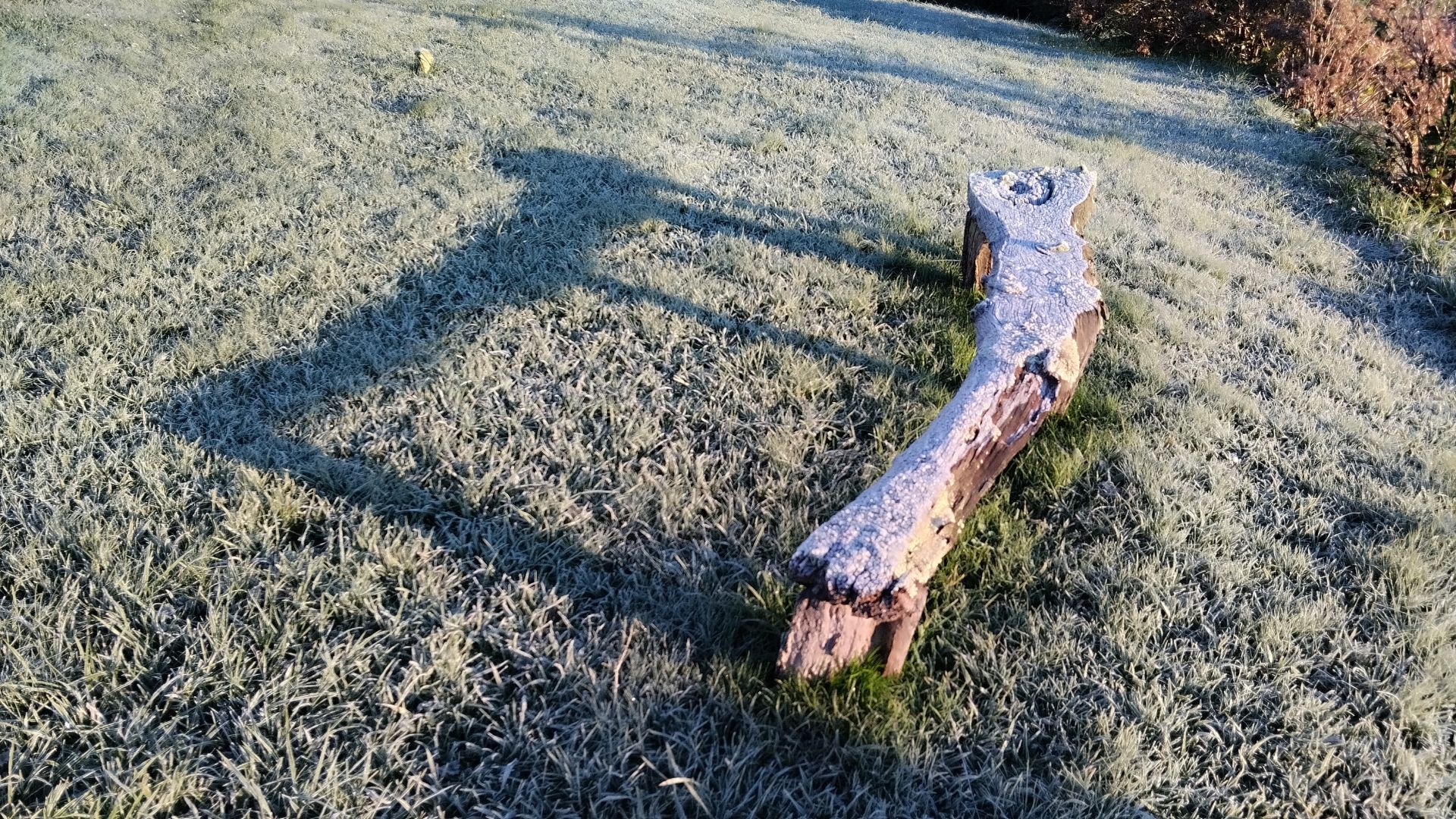 Asturias, bajo cero: el frío invernal llega a la región