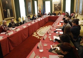 Asistentes al Consejo Sectorial de Movilidad de Gijón, celebrado ayer por la tarde en el Salón de Recepciones de la Casa Consistorial.