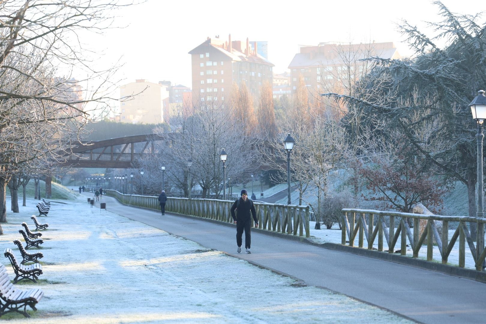 Frío en Asturias: la escarcha y temperaturas bajo cero pintan el paisaje de blanco