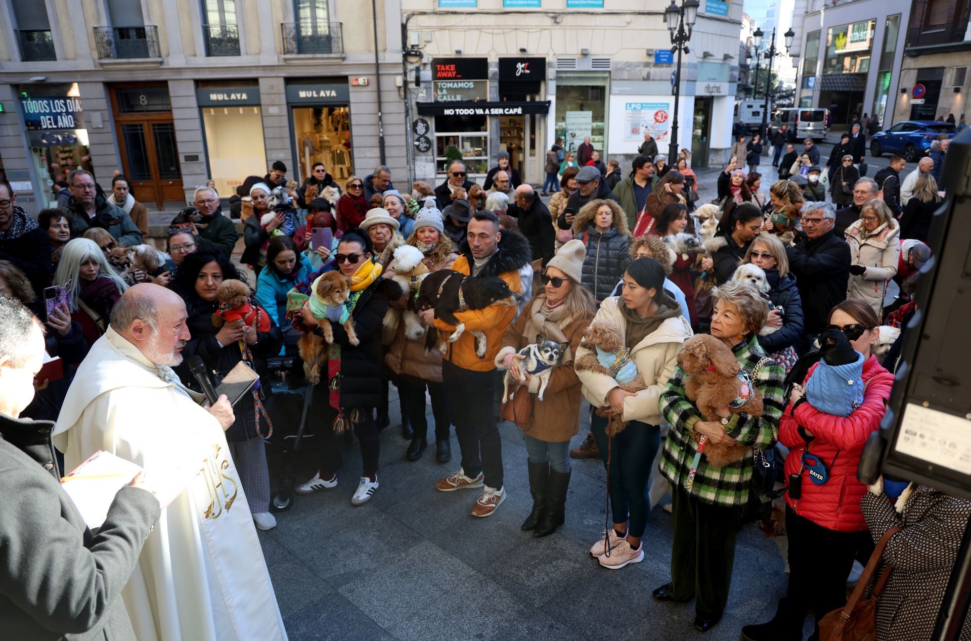Oviedo bendice a sus mascotas por San Antón