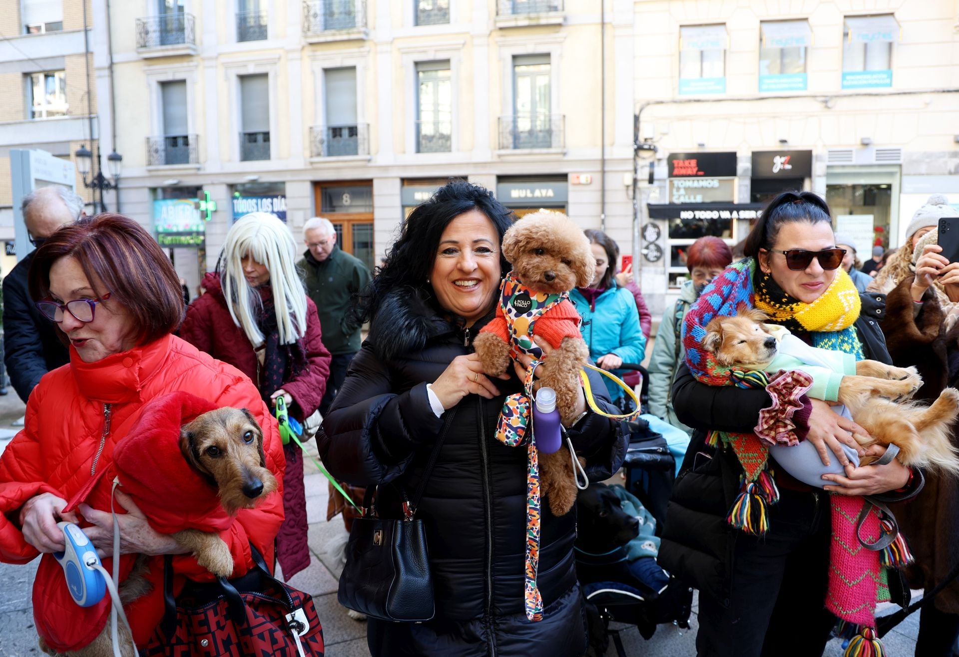 Oviedo bendice a sus mascotas por San Antón