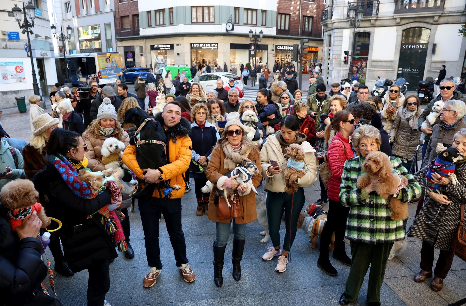 Oviedo bendice a sus mascotas por San Antón