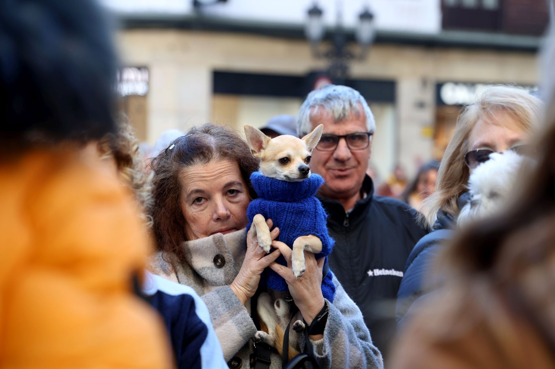 Oviedo bendice a sus mascotas por San Antón