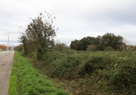 Terrenos junto a la avenida de La Pecuaria que ocupará el futuro campus privado de la Universidad Europea.