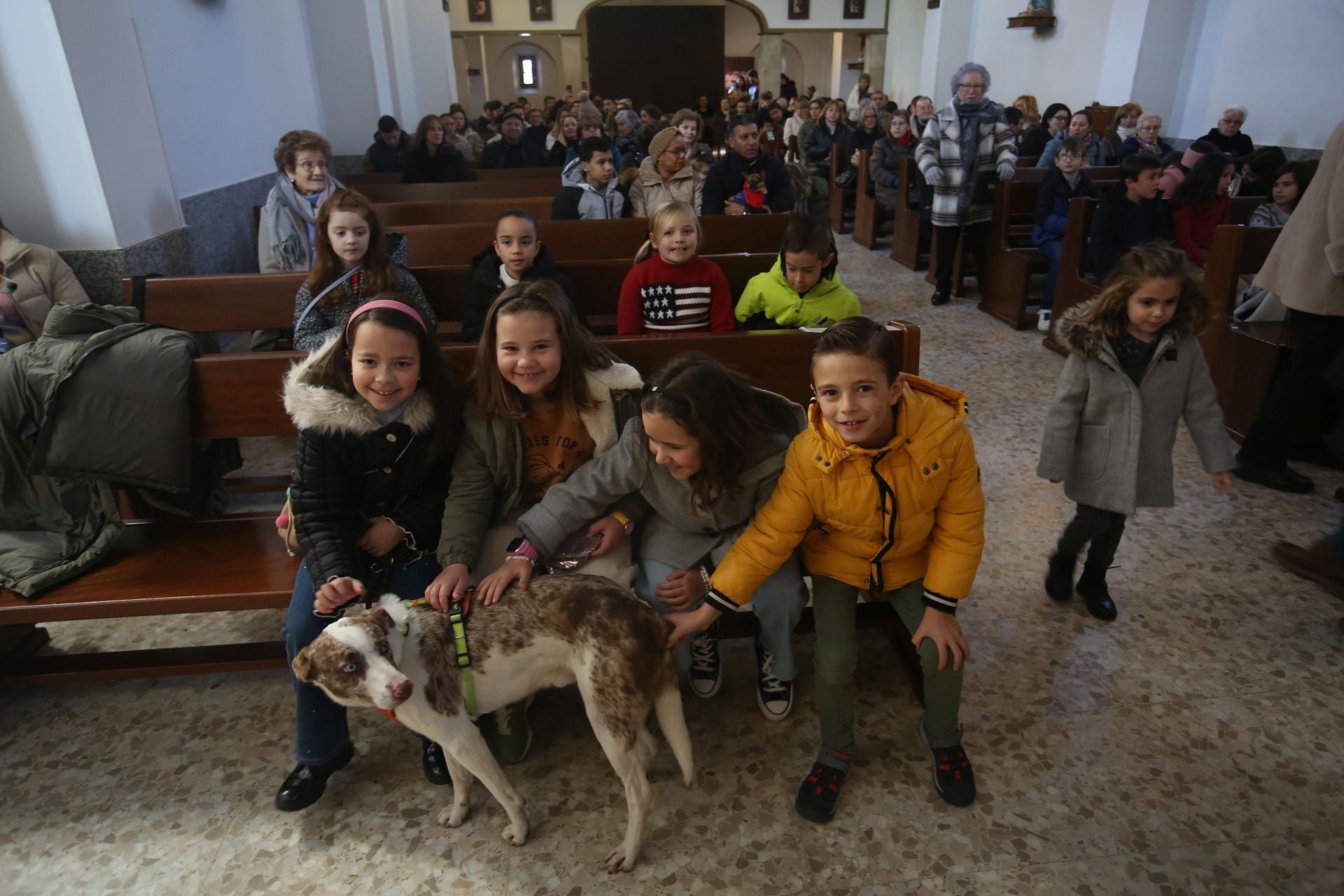 San Antón en Lugones: perros, gatos, conejos, hámsteres y periquitos reciben su bendición