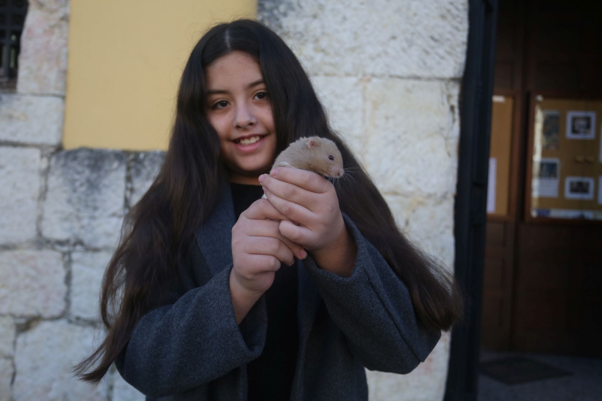 San Antón en Lugones: perros, gatos, conejos, hámsteres y periquitos reciben su bendición