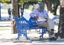 Un pensionista lee el periódico.