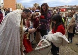 Bendición de mascotas en Gijón por San Antón