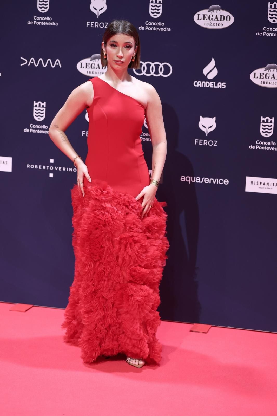 Todos los &#039;looks&#039; de los premios Feroz 2025