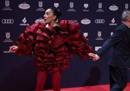 Todos los 'looks' de los premios Feroz 2025