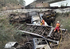 Así quedó el tren descarrilado.