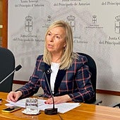 Vox pide la dimisión de la consejera de Salud 