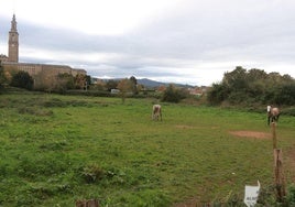 Terrenos de la Pecuaria de Somió donde está prevista la implantación de la Universidad Europea.