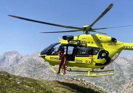 Los bomberos de Asturias intervienen en el rescate de un esquiador en el pico de Celleros.