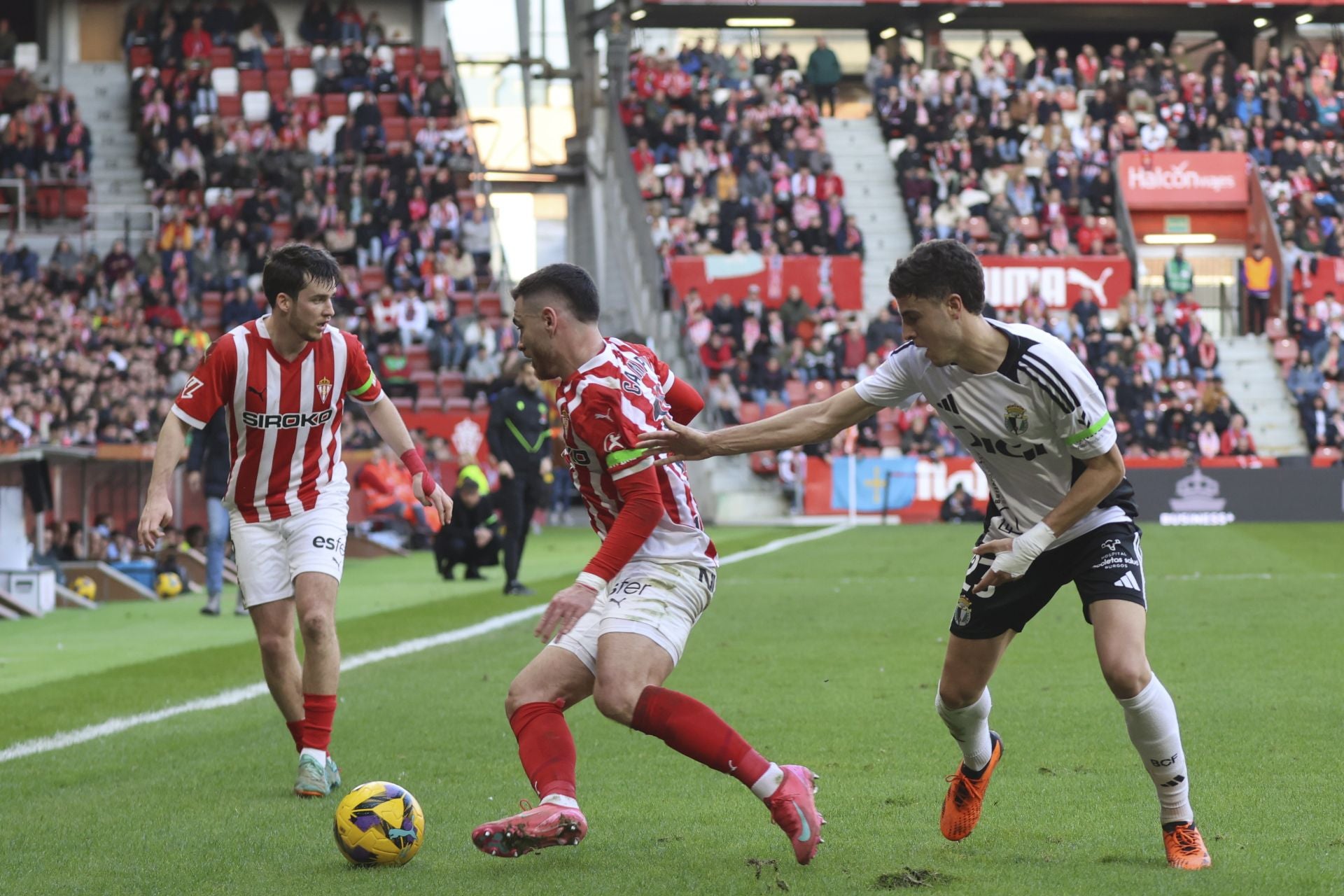 Las mejores jugadas del Sporting de Gijón - Burgos