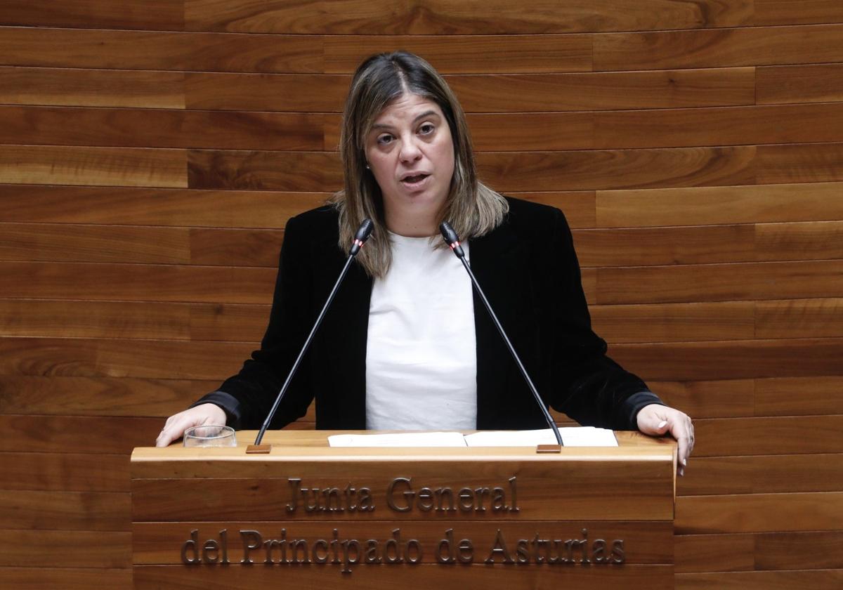 Gimena Llamedo, vicepresidenta del Principado, en el Pleno de la Junta.