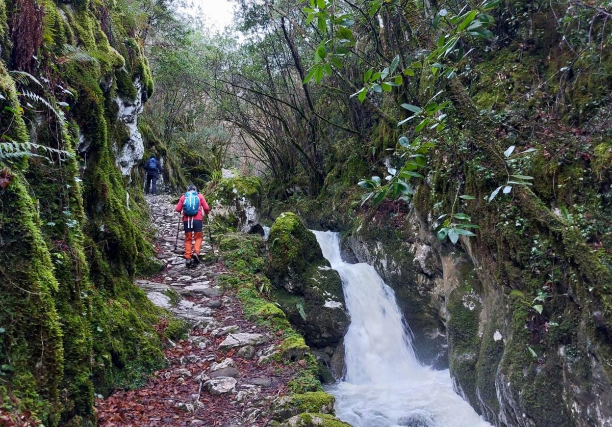 En el bosque de Beyu Pen hay paz y silencio y se recorre sin problemas, por una vieja calzada de piedra y junto al rumor constante del agua clara