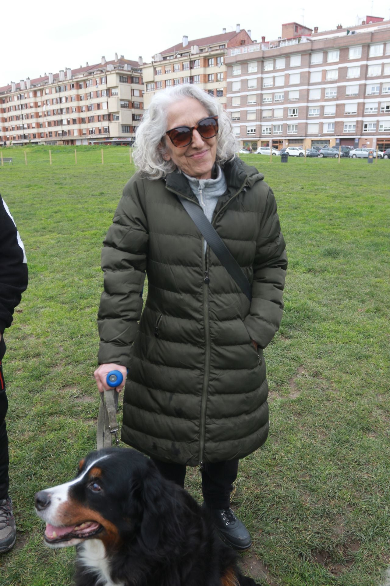 Los perros ya disfrutan dentro del vallado en parque en el Solarón