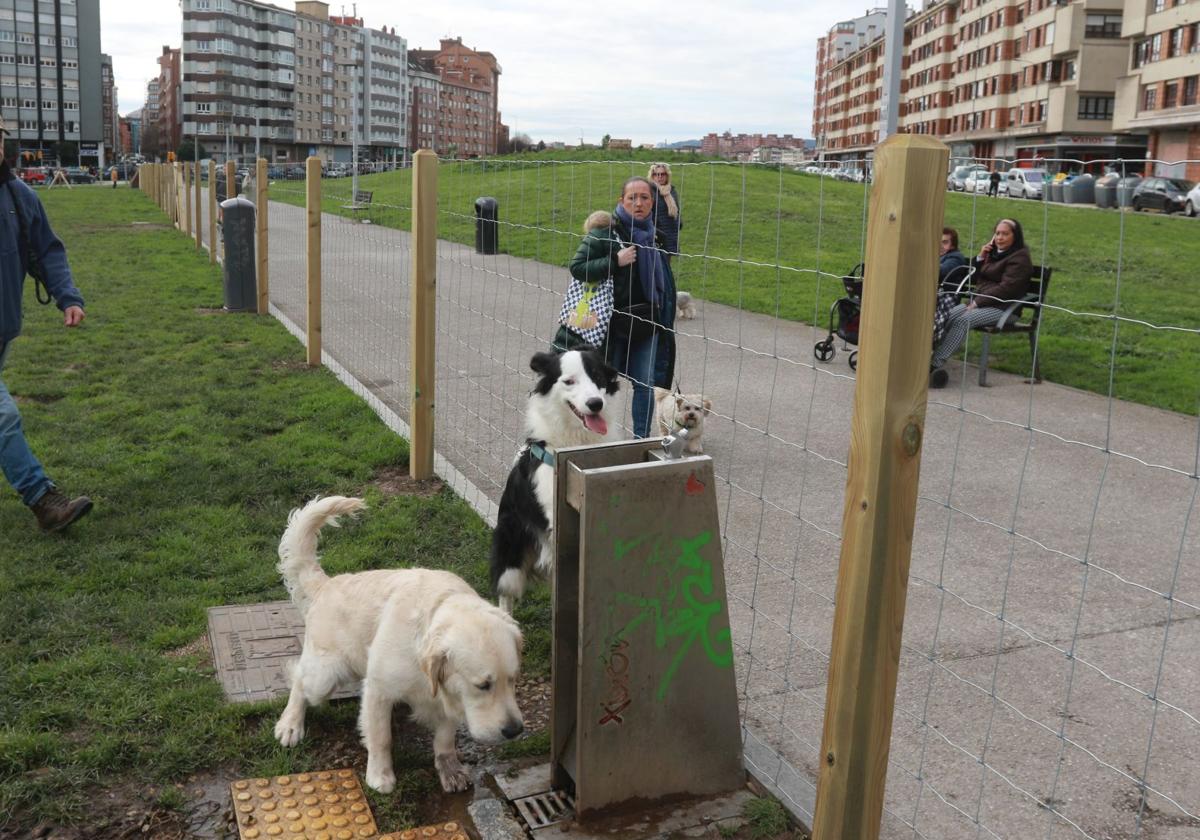 Los perros ya disfrutan dentro del vallado en parque en el Solarón