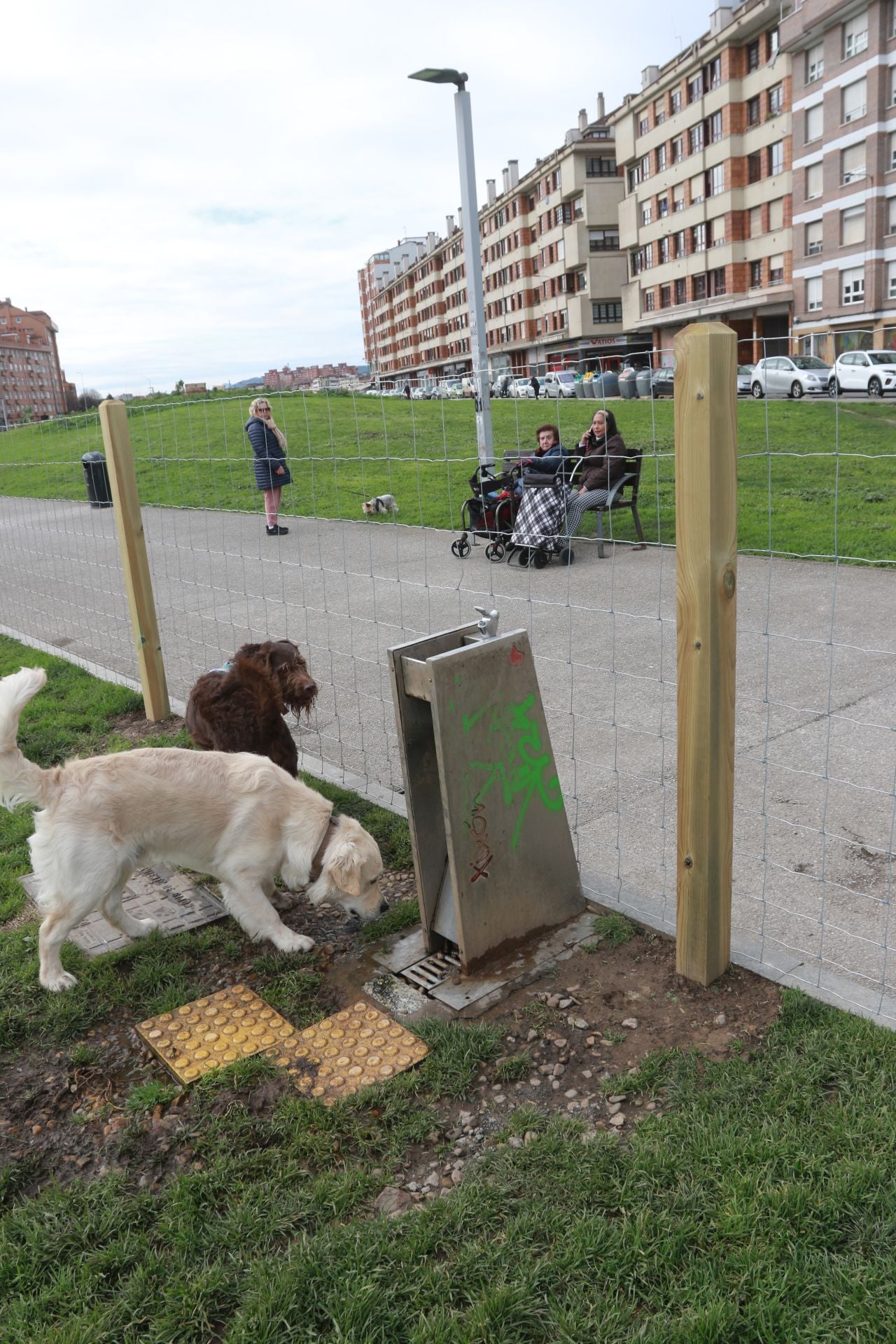 Los perros ya disfrutan dentro del vallado en parque en el Solarón