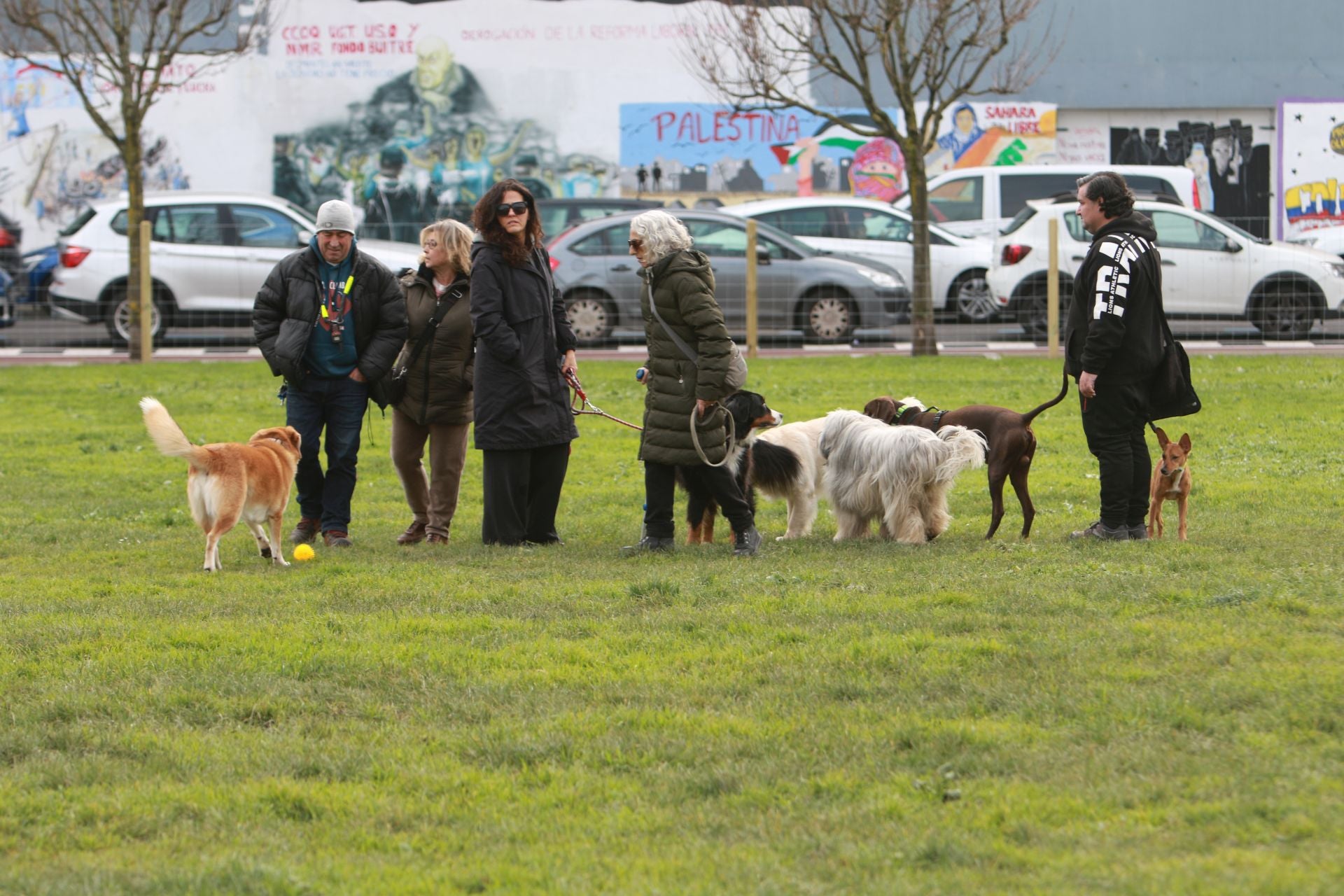 Los perros ya disfrutan dentro del vallado en parque en el Solarón