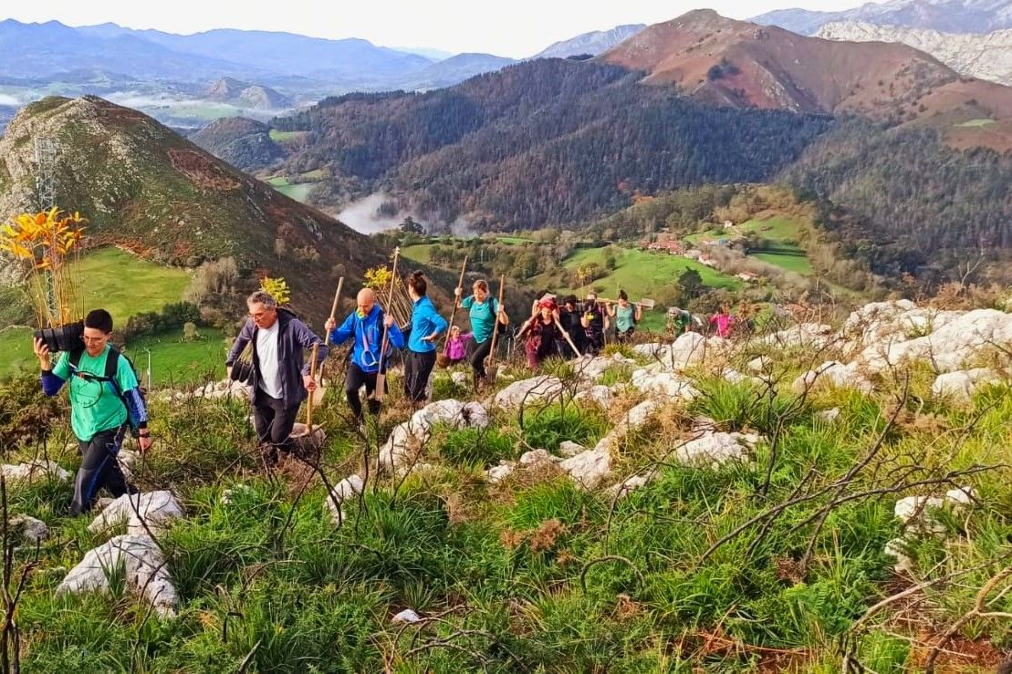 Echarse al monte para repoblarlo con árboles autóctonos: ese es el plan de domingo por la mañana de la Kangas Mountain y la Asociación Proyecto Roble