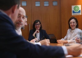 Nieves Roqueñí, presidiendo el último consejo de administración de Cogersa.