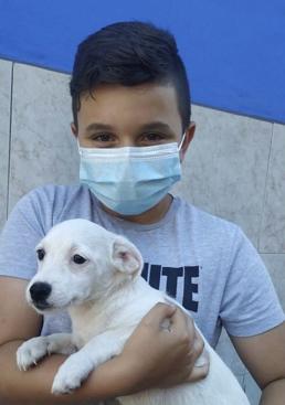 Imagen - Enol, el día que adoptaron a su perro Sully, cinco meses antes de morir por covid.
